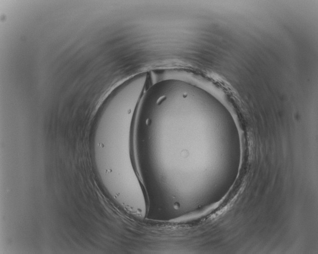 X0000068821457200605121303