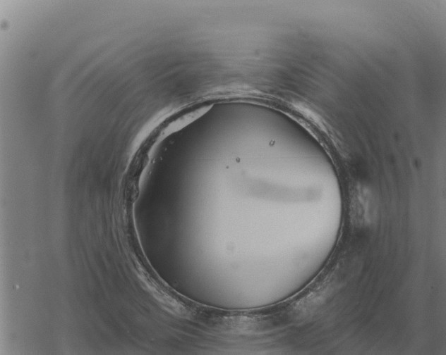 X0000068821458200605121303