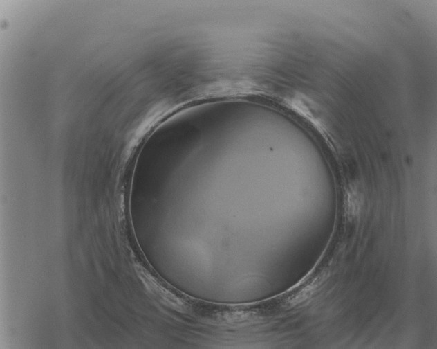 X0000068821459200605121303