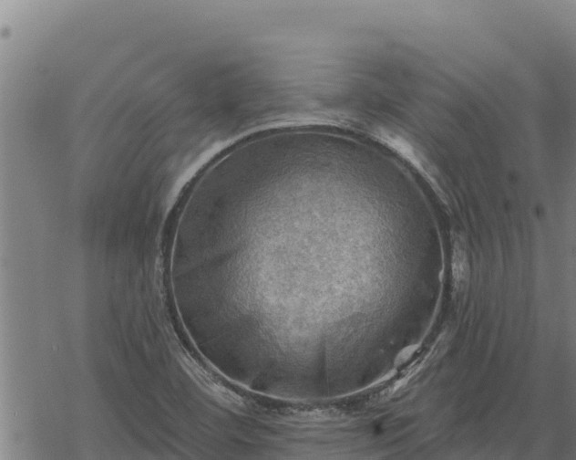 X0000068821460200605121303