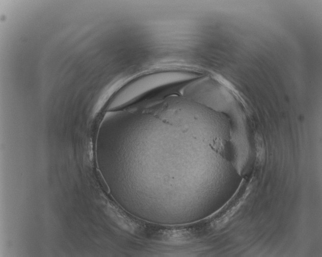 X0000068821461200605121303