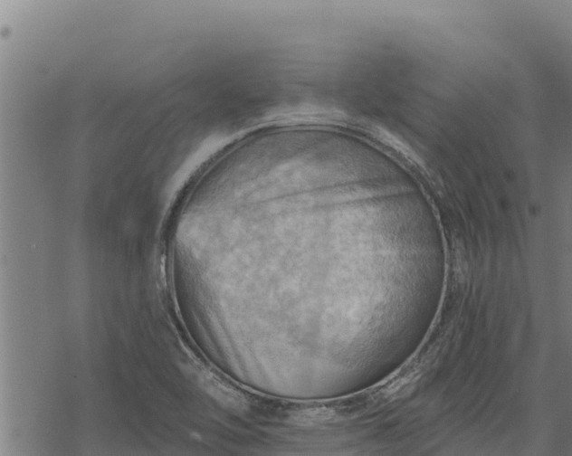 X0000068821462200605121303