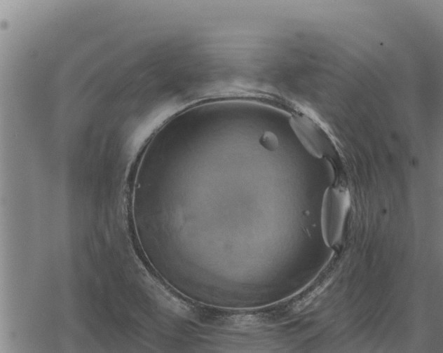 X0000068821463200605121303