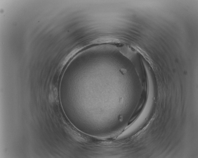 X0000068821465200605121303