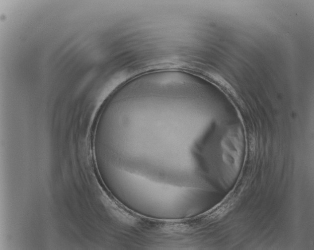 X0000068821466200605121303