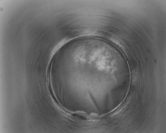 X0000068821467200605121303