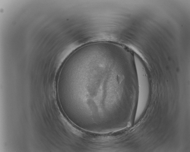 X0000068821468200605121303