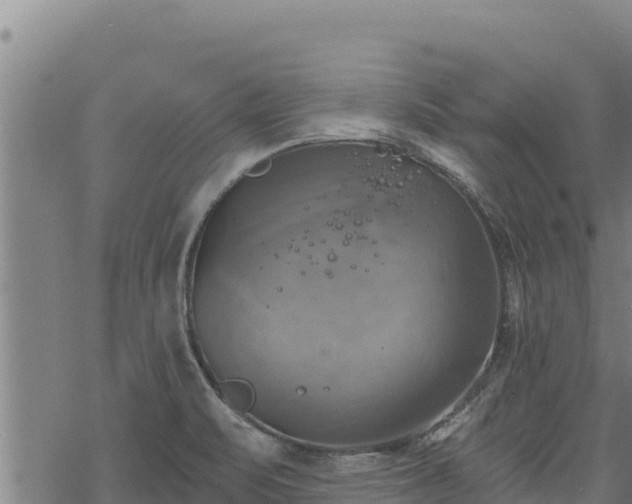 X0000068821471200605121303