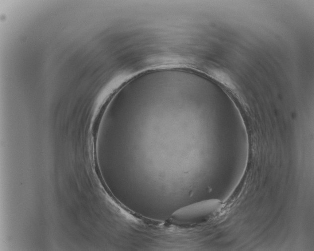 X0000068821472200605121303