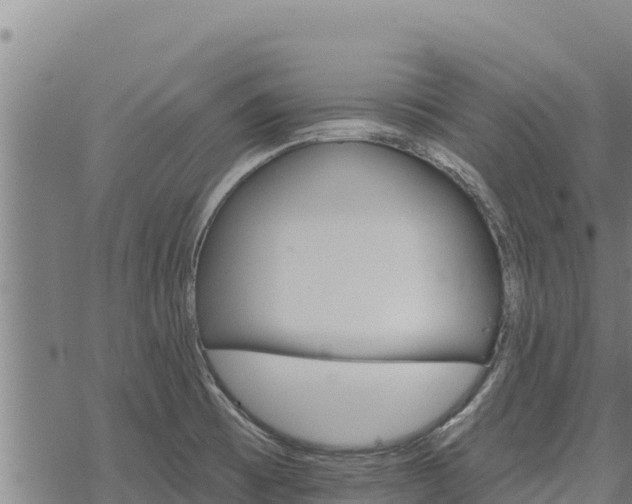 X0000068821473200605121303