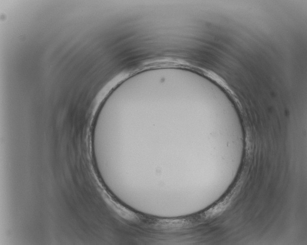 X0000068821474200605121303