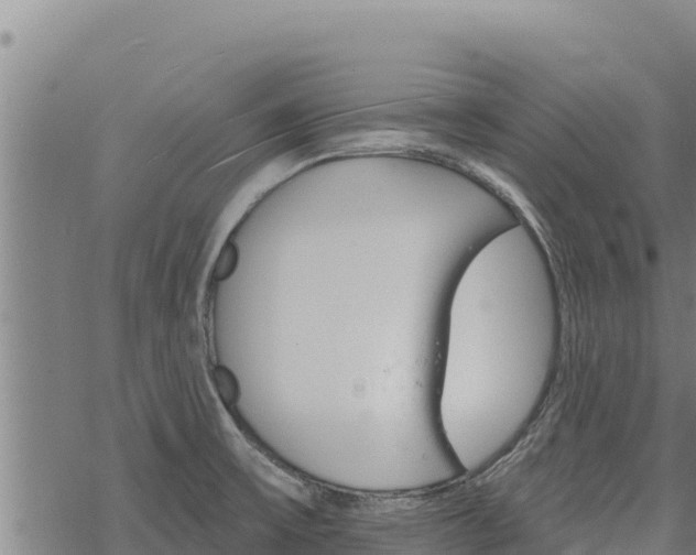 X0000068821475200605121303