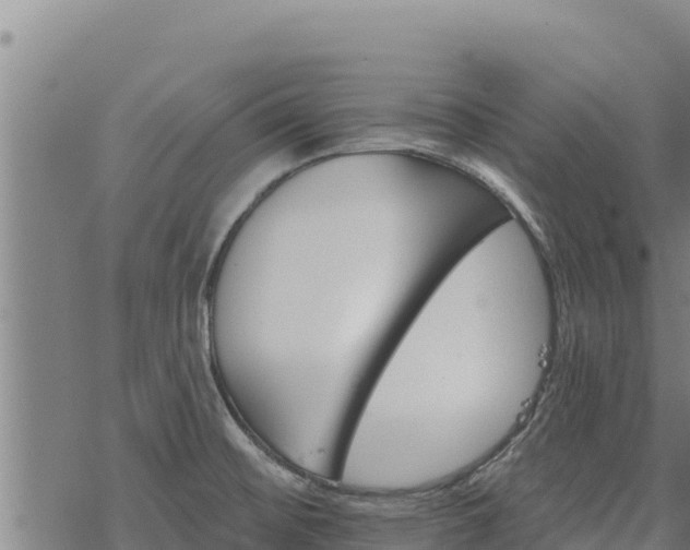 X0000068821476200605121303