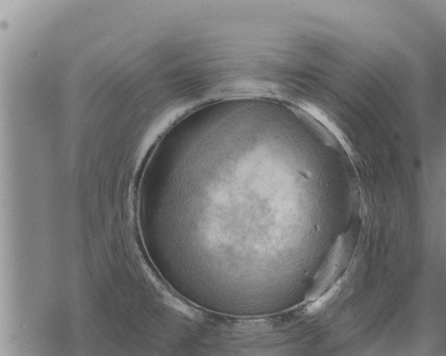 X0000068821477200605121303