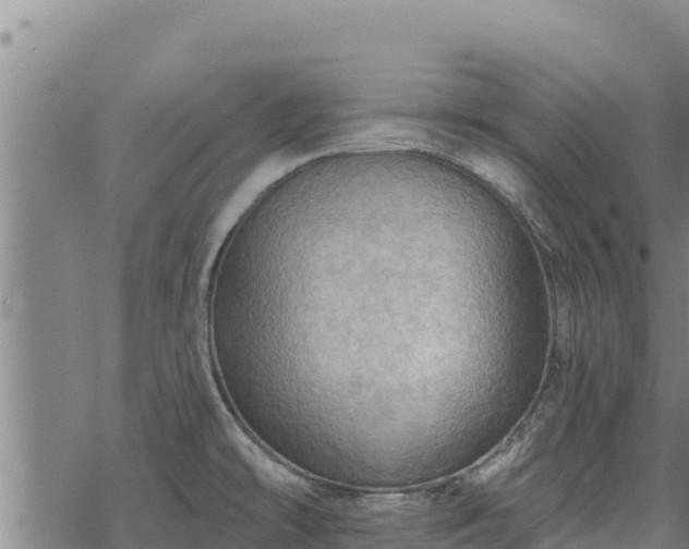 X0000068821478200605121303