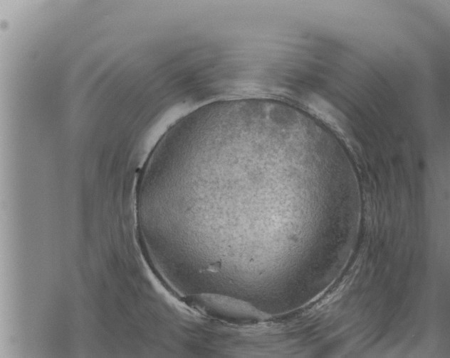 X0000068821479200605121303