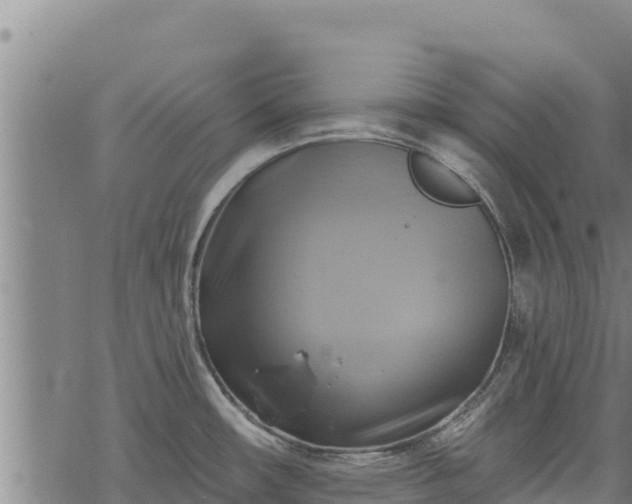 X0000068821482200605121303