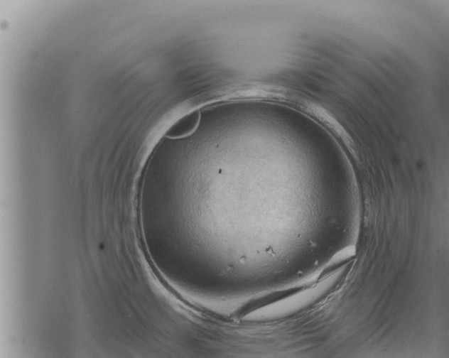 X0000068821483200605121303