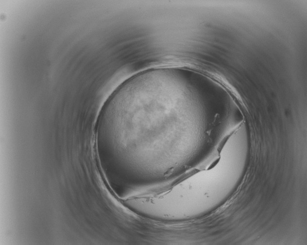 X0000068821484200605121303