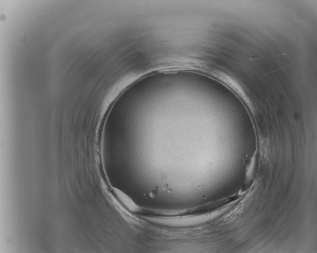 X0000068821485200605121303