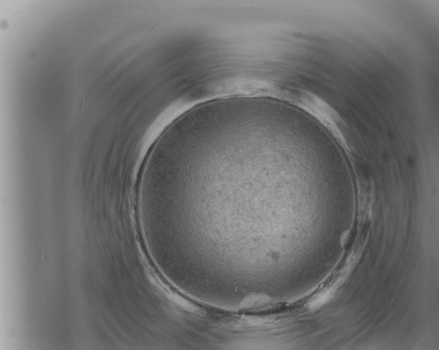 X0000068821486200605121303