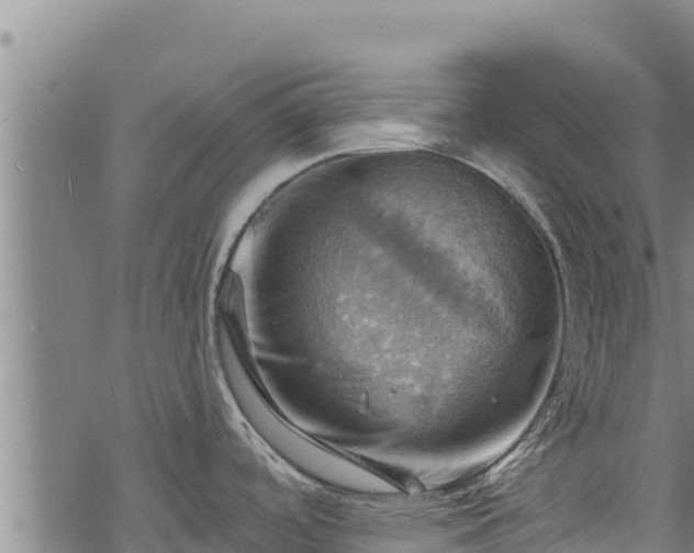 X0000068821488200605121303