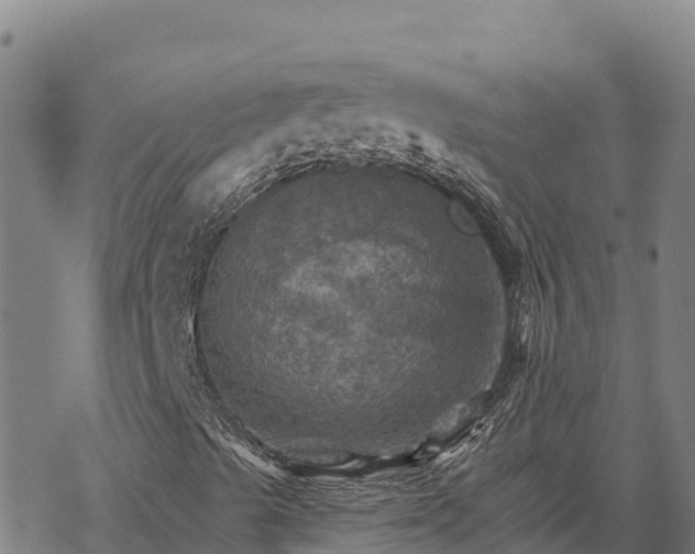 X0000068821489200605121302