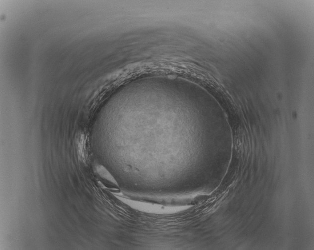 X0000068821490200605121302