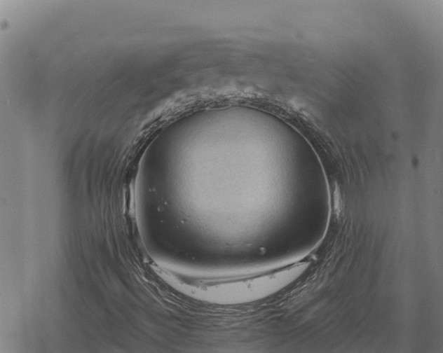 X0000068821492200605121302