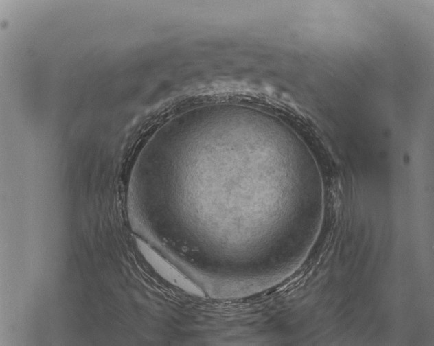 X0000068821493200605121302