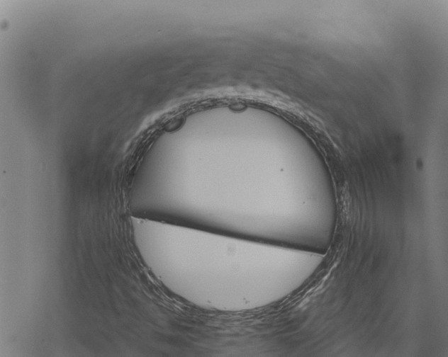 X0000068821494200605121302