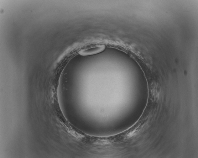 X0000068821495200605121302