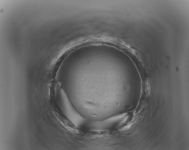 X0000068821496200605121302