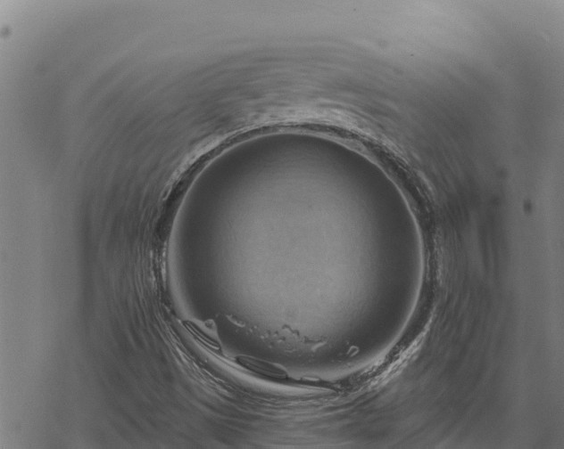 X0000068821497200605121302