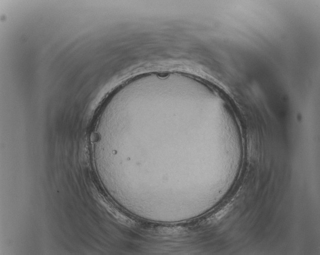 X0000068821498200605121302