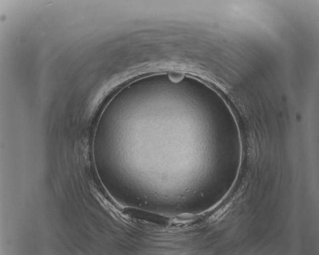 X0000068821499200605121302