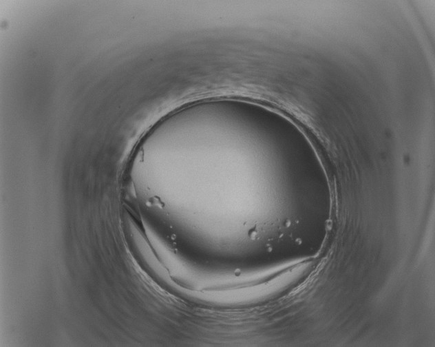 X0000068821500200605121302