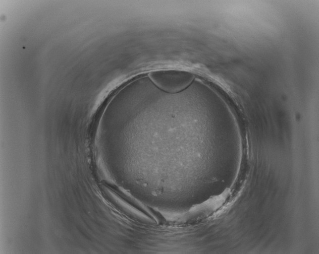 X0000068821501200605121302