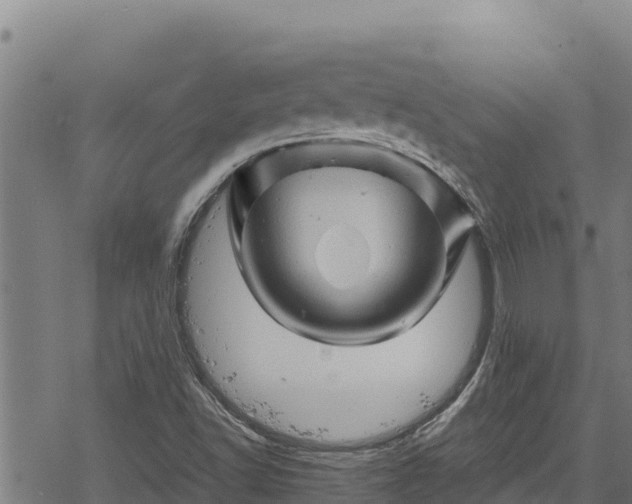 X0000068821502200605121302