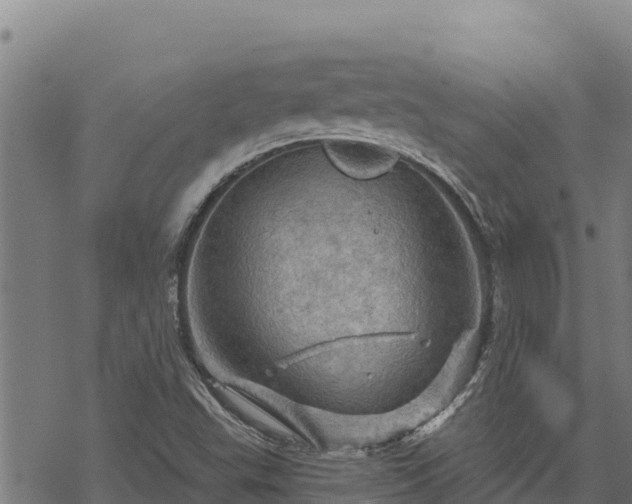 X0000068821503200605121302