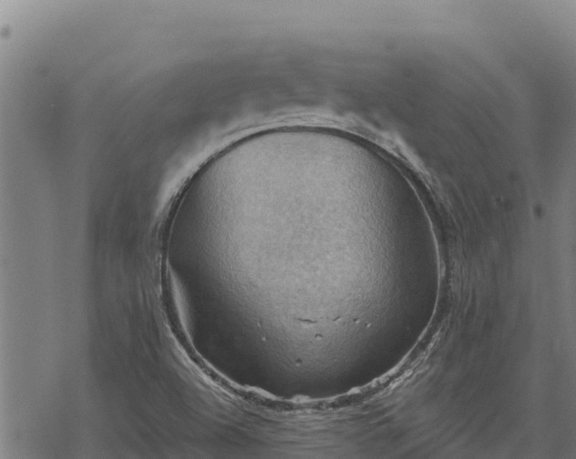 X0000068821504200605121302