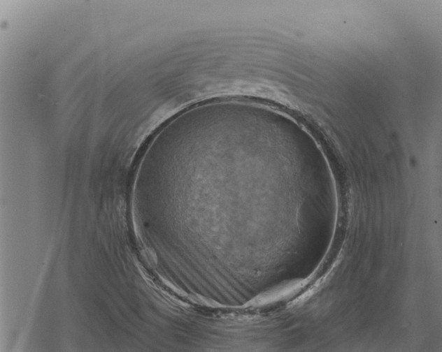 X0000068821505200605121302