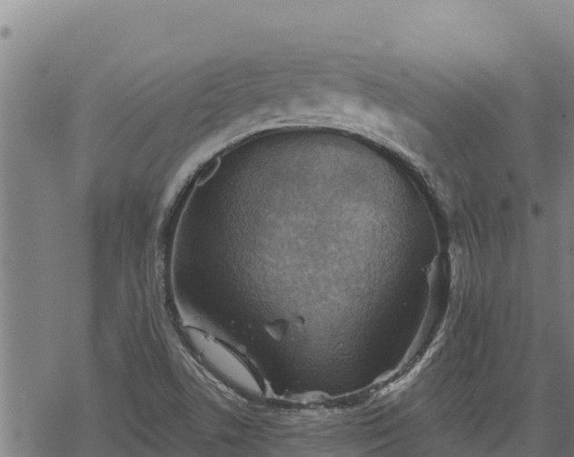 X0000068821506200605121302