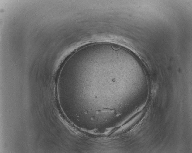 X0000068821507200605121302