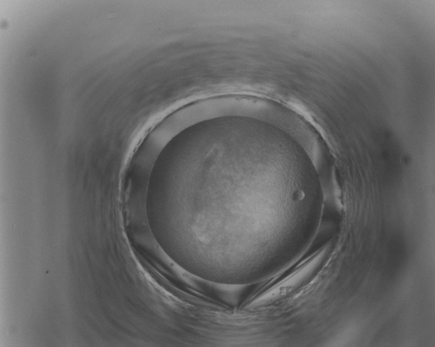 X0000068821508200605121303