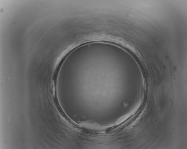 X0000068821509200605121303