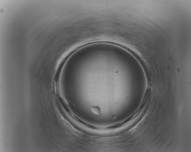 X0000068821510200605121303