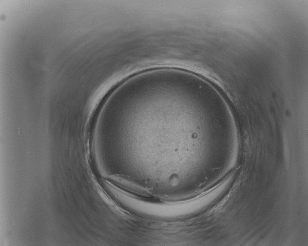 X0000068821511200605121303