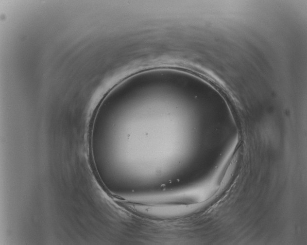 X0000068821512200605121303