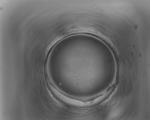 X0000068821513200605121303